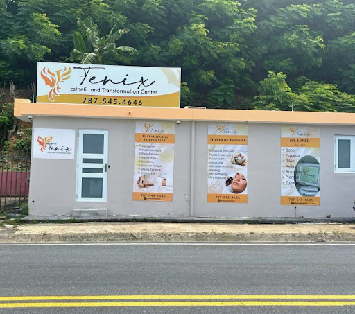 Fenix Esthetic