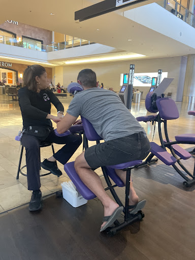 Professional Massage Inc