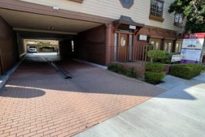 Downey Wholistic Center