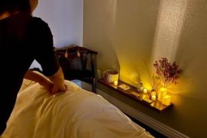 TOCCA Japanese Shiatsu Massage Salon