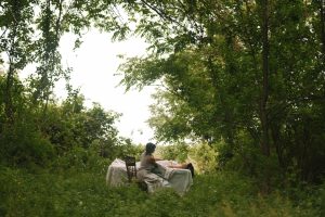 Forest Massage