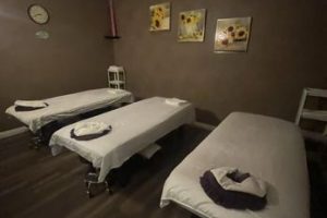 Joy Spa – Body Massage and Couples’ Massage Therapy