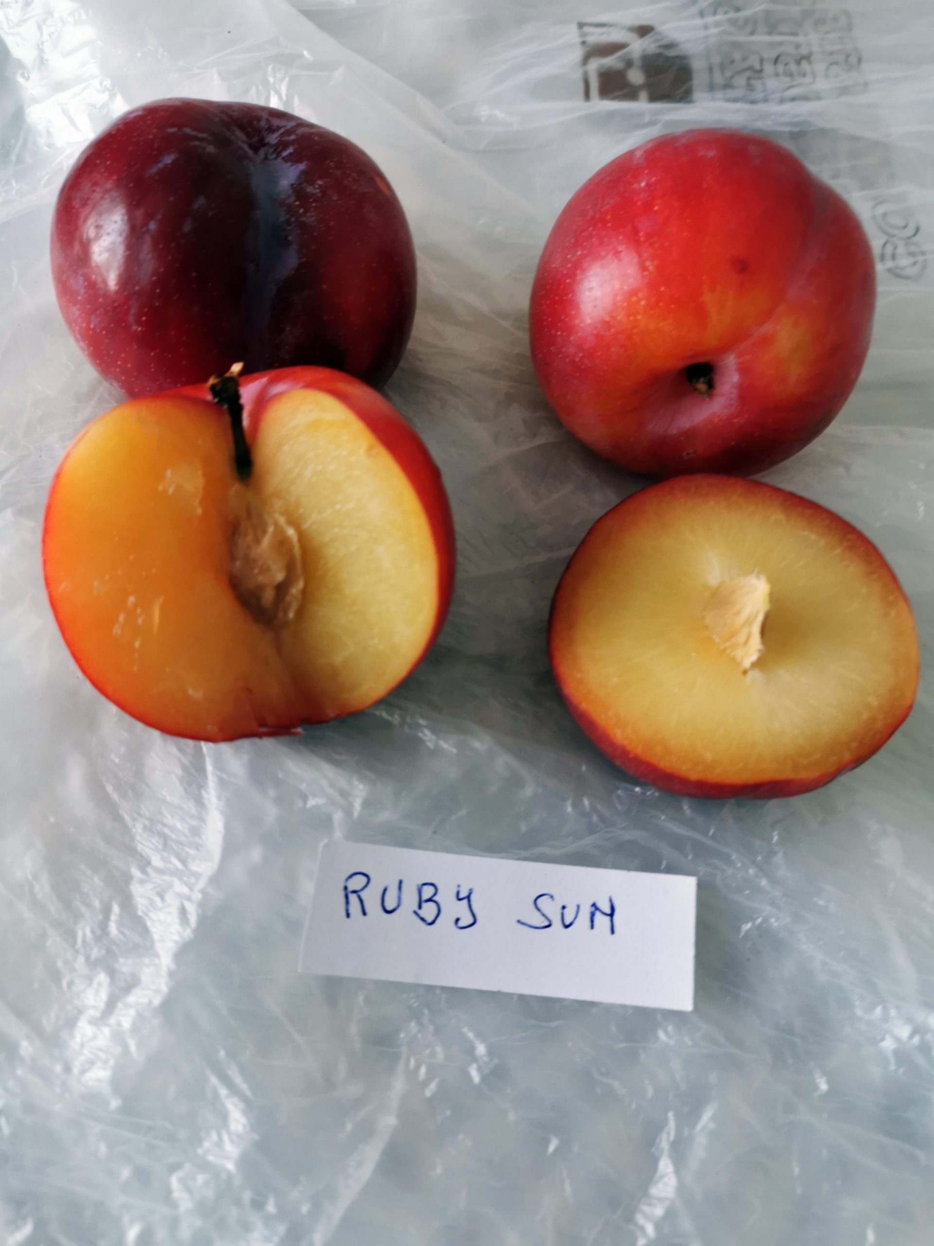 Ruby Sun: Foto de amanecer rojo con gemas brillantes