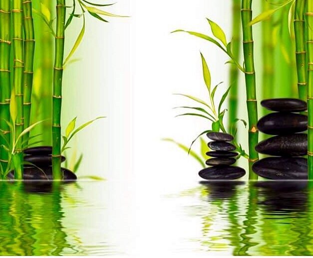 Spa de Bienestar Purrfect: Relajación, Masajes y Tratamientos para Gatos y Humanos