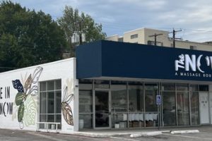 The NOW Massage Oak Lawn